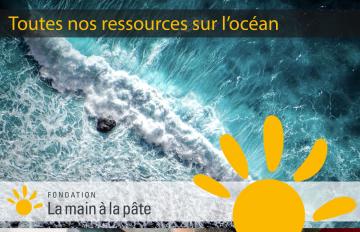 Journée mondiale de l'océan : découvrez nos ressources sur ce thème