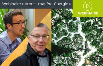 Un webinaire sur le thème "Arbres, matière et énergie"