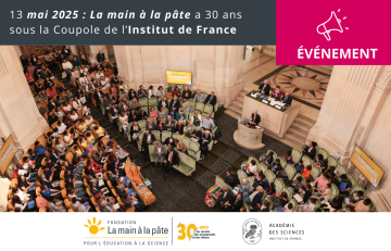 30 ans de LAMAP