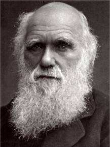 Darwin et l'évolution | Le site de la Fondation La main à la pâte