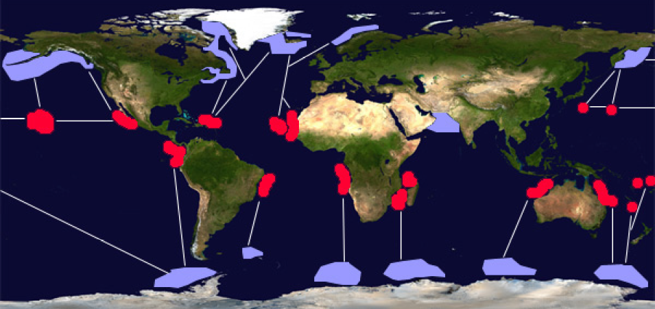 29 Notions Clefs Sur Les Traces Des Migrateurs Le Site De La Fondation La Main A La Pate